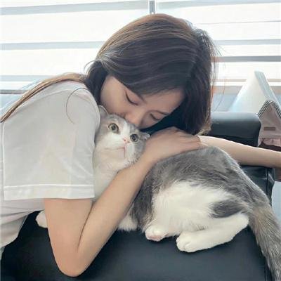 古墓奇缘 在线观看
